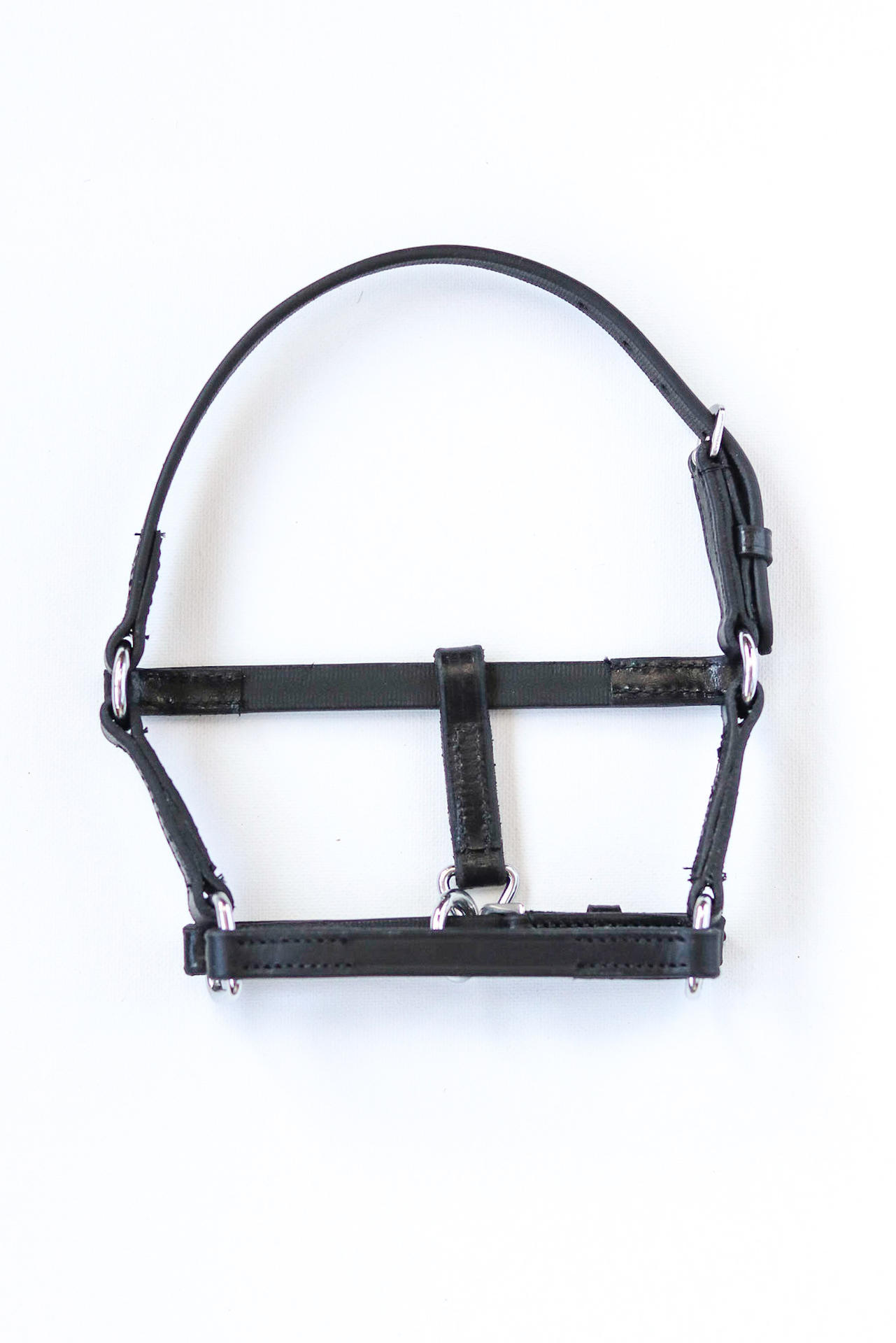 Melfi Showtime Headcollar, halter