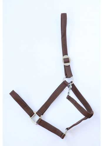 Apollo Nylon headcollar