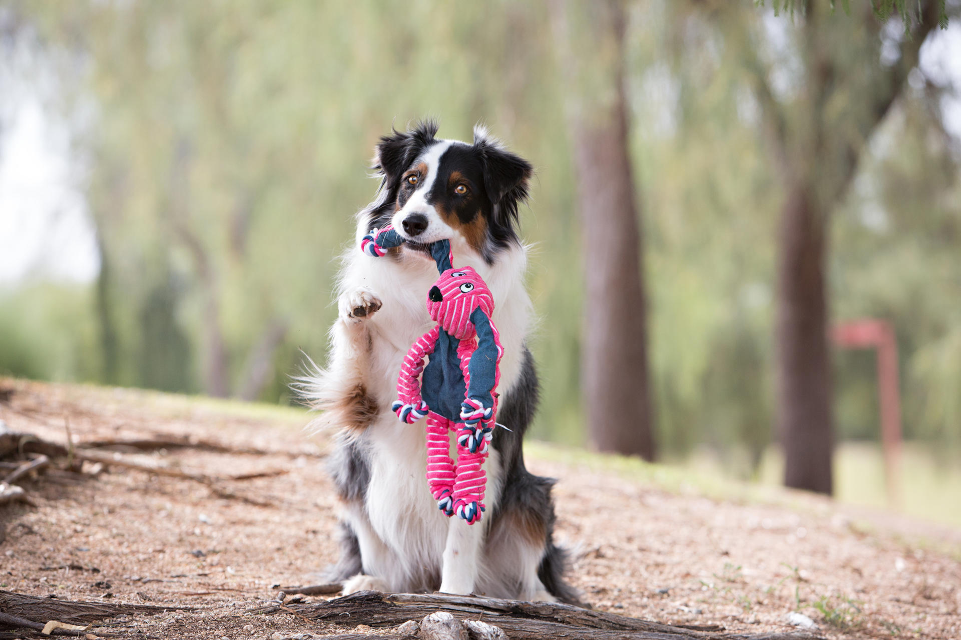 Floppy Knots elephant medium large dog toy