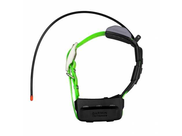 KT 15X dog navigation collar