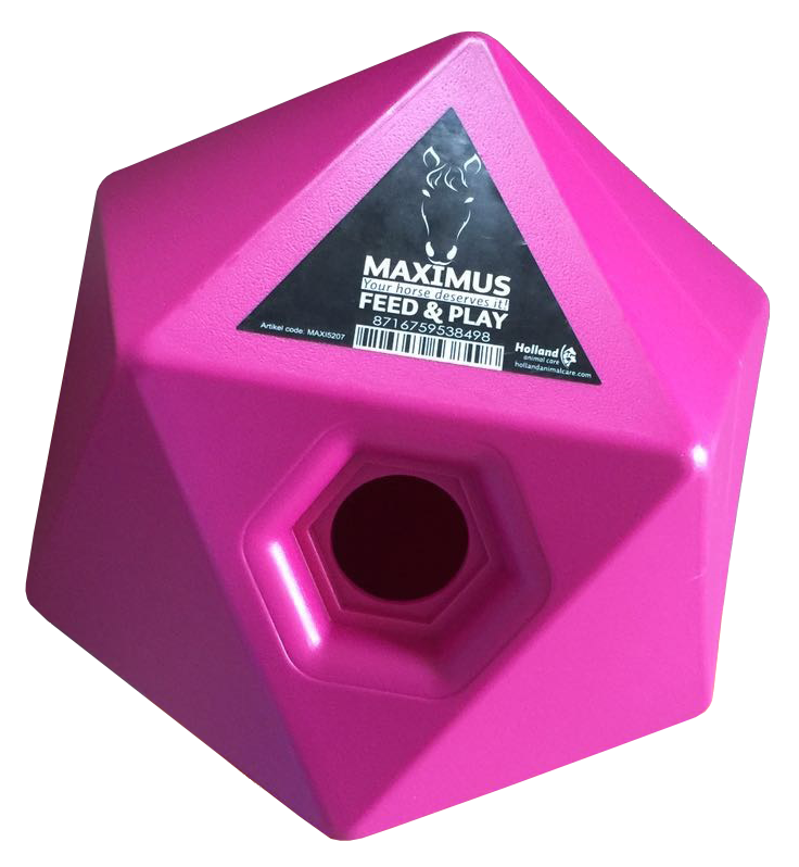 Feed Play Pink Slow Feeder Stable Livestock Feeding Drinking Technology Feeder