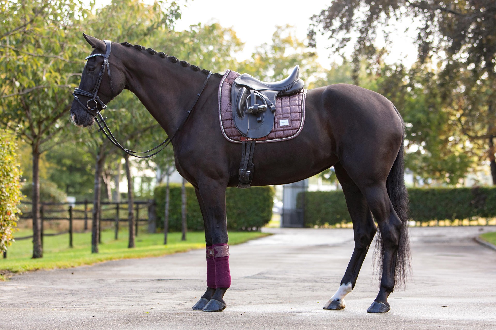 Lake View Showtime Dressage saddle pad