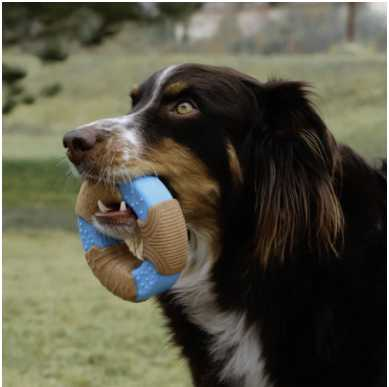 Bone chew toy for dogs