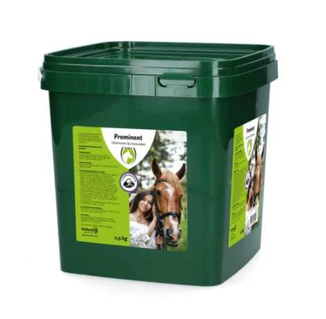 Horse health 2,5kg