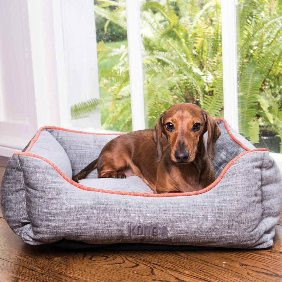 Dog bed small grey with orange edge