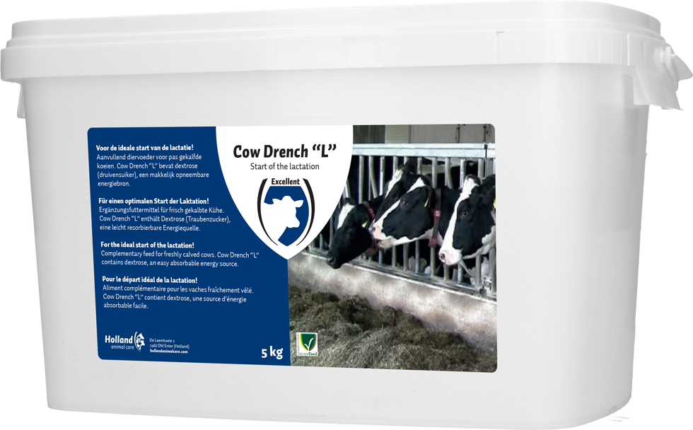 Cow Drench 