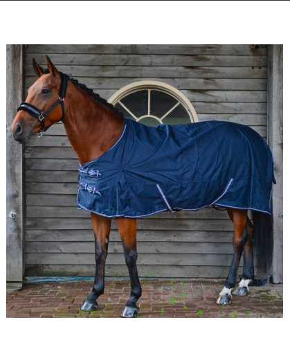 Colorado horse blanket
