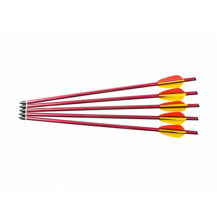 Aluminum arrow 16in 5 pcs red.