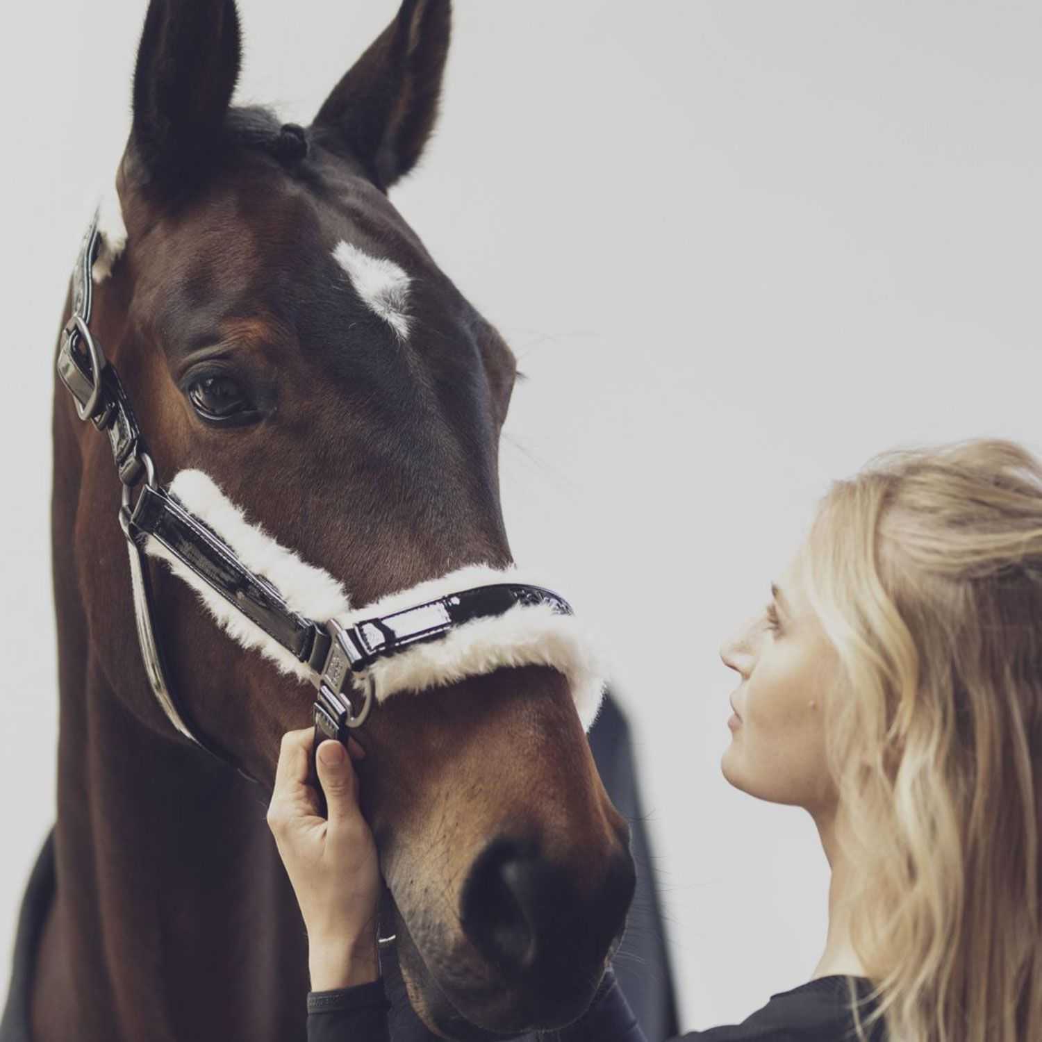 varnish Evo-Wool  Reflex Headcollar