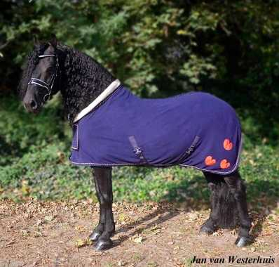 Amy fleece horse rug