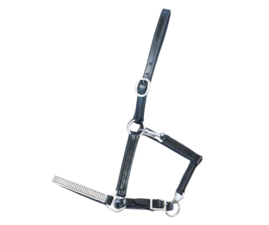 Ercano headcollar, halter for foal