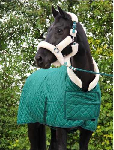 Showtime Desir horse rug