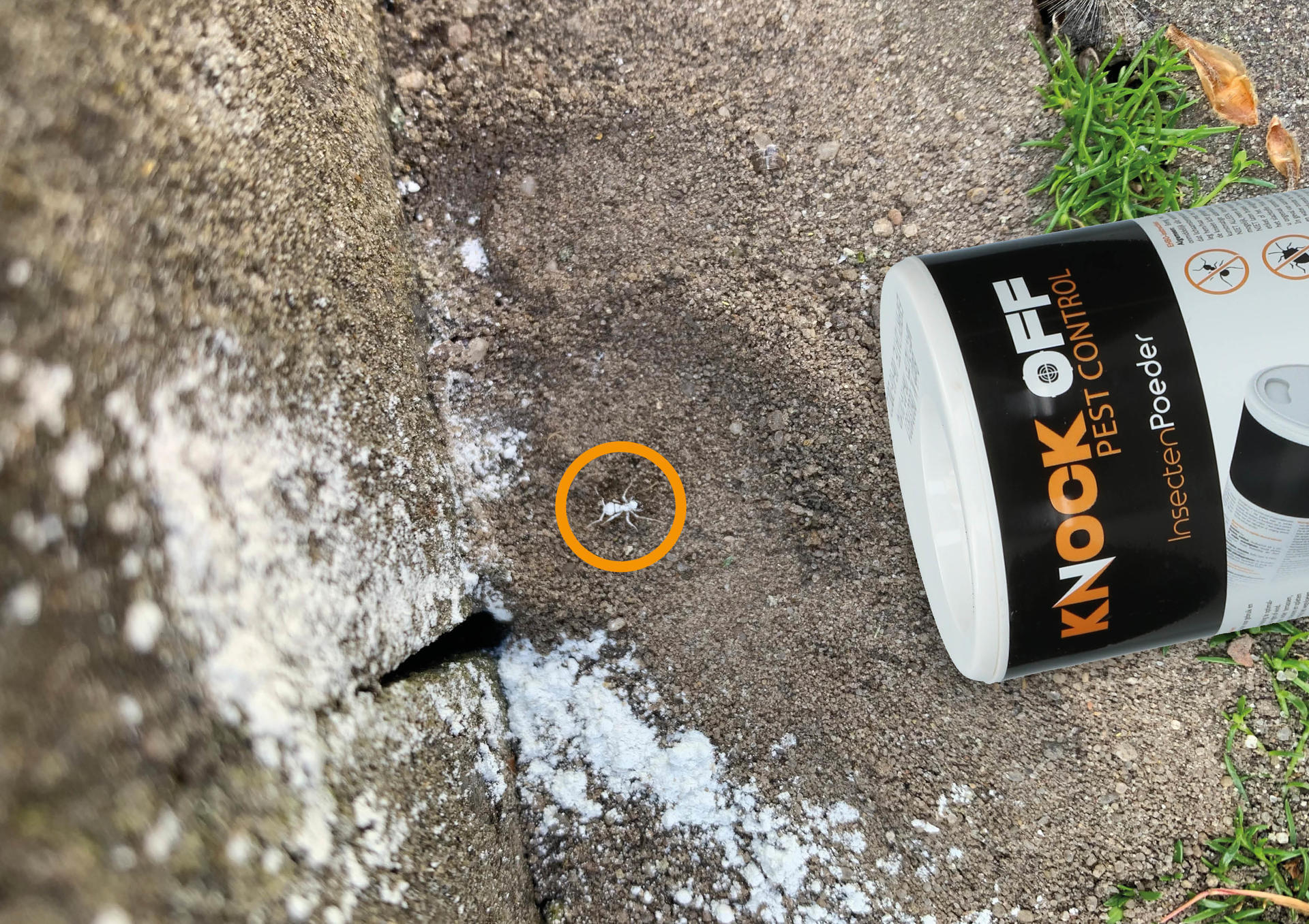 glue trap against insects stable livestock pest control glue trap