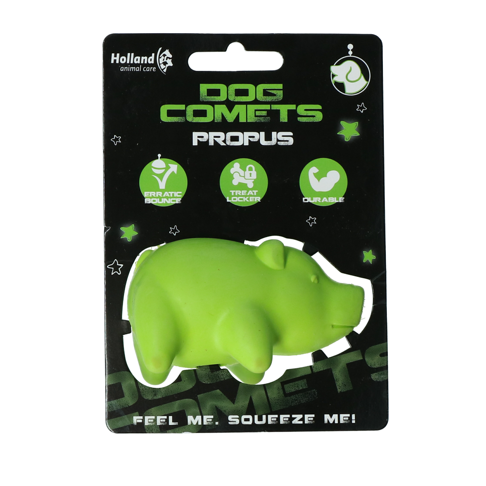 Piggy green dog toy
