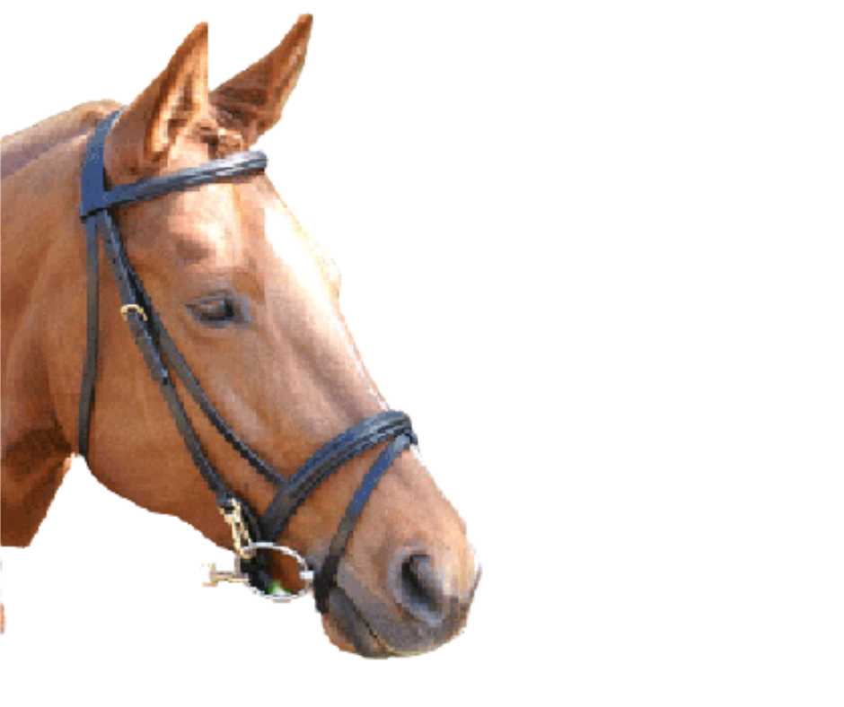Milano bridle