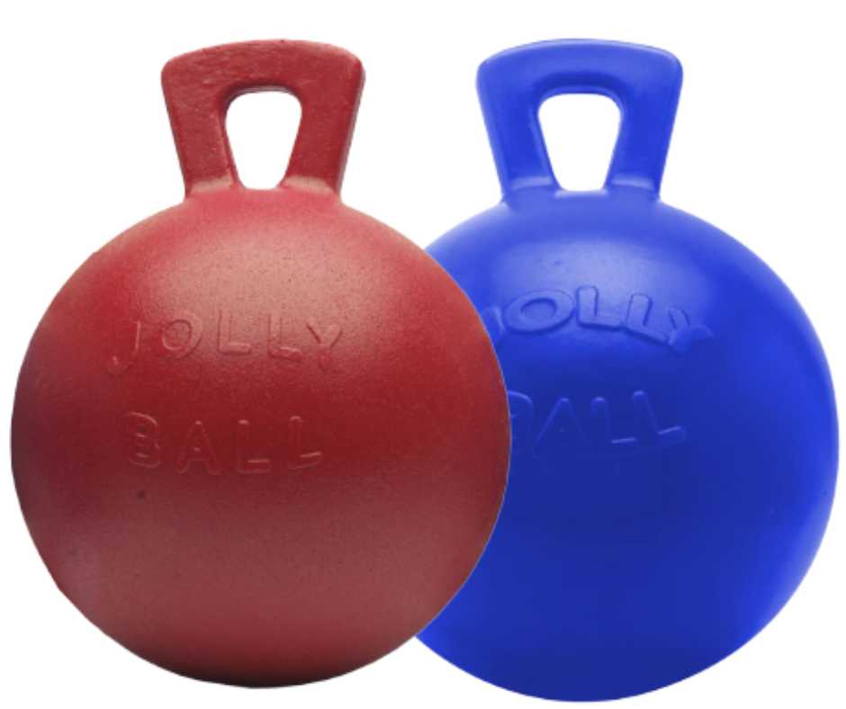 Play ball for horses