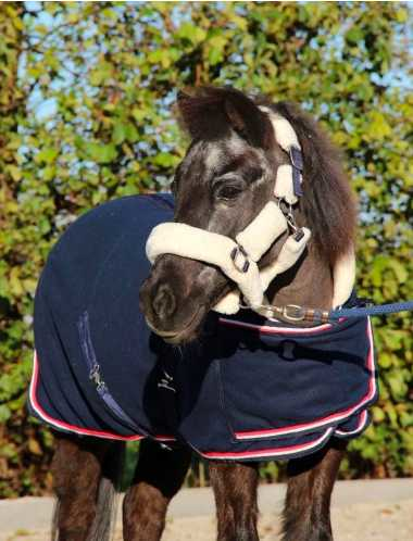 Showtime Harry and Hector horse rug