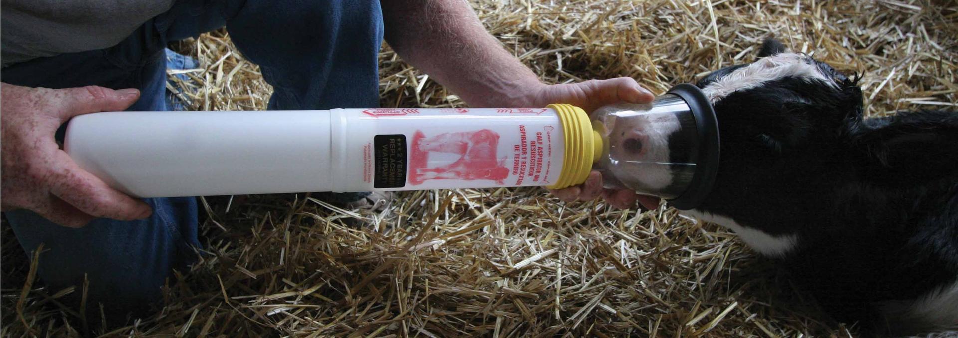 rescue breathing pump for calf calving cattle