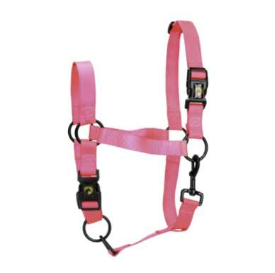 Monza Headcollar, halter