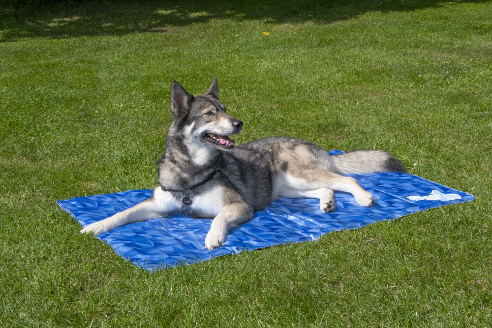 Premium cooling mat XL (120x75cm)