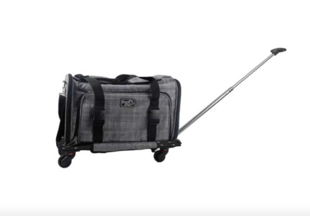 Rolling animal carrier