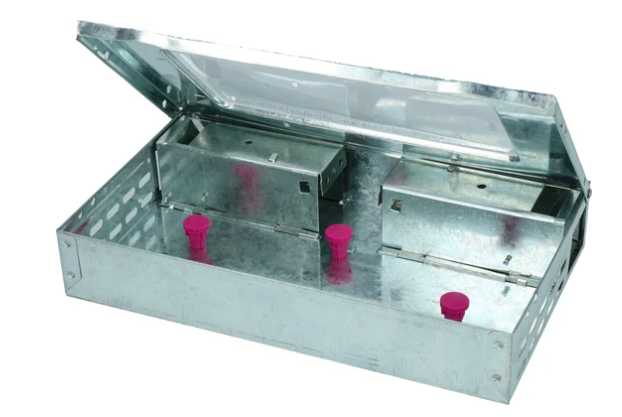 Poultry meat flavoured allergen-free bait for rats to bait mice