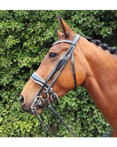 Showtime Great Pleasure bridle