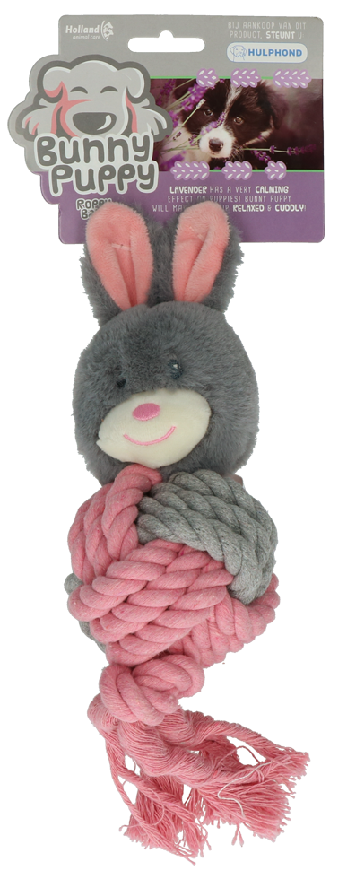 Crunchy bunny with rope dog toy