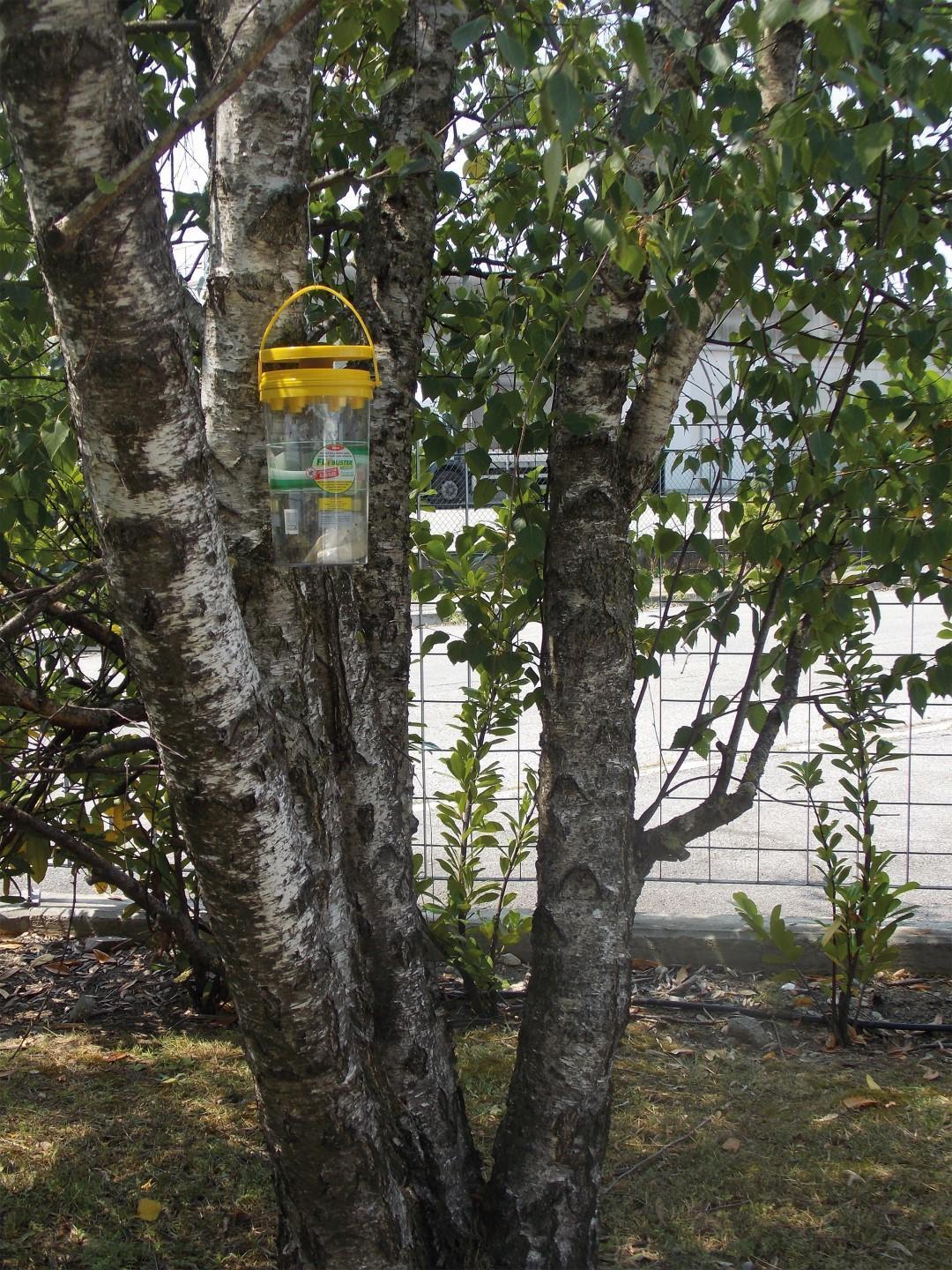 ANLI Flybuster garden fly trap