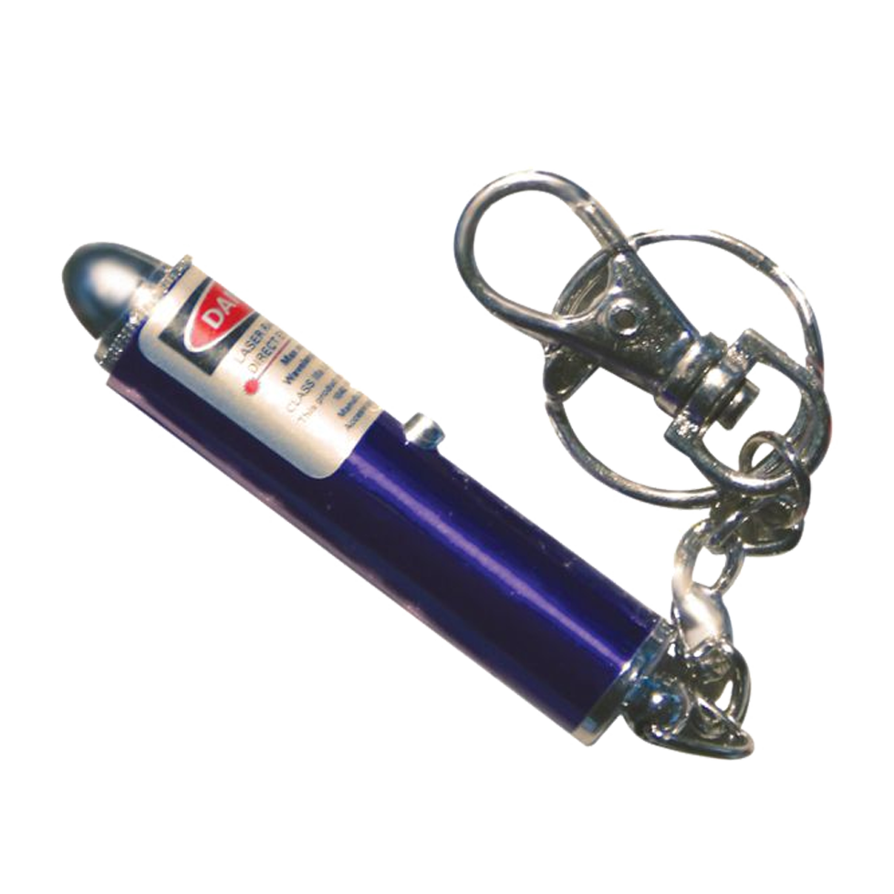 Interactive laser cat toy