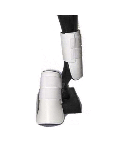 101 tendon foot protection