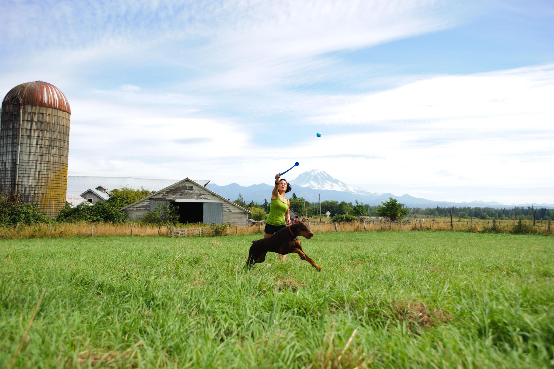 The Whistler S 5 cm 2 Pack