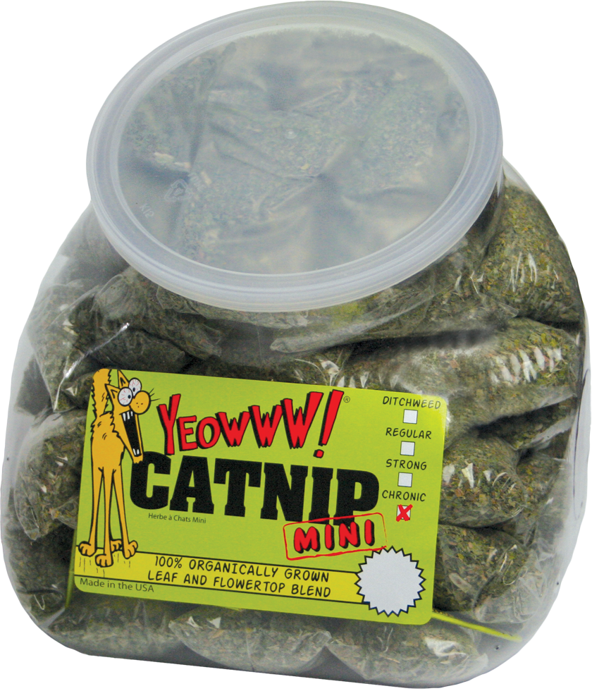 Minis (50 pcs), cat multivitamin and food supplement, health