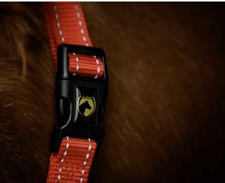 Monzo Headcollar, halter