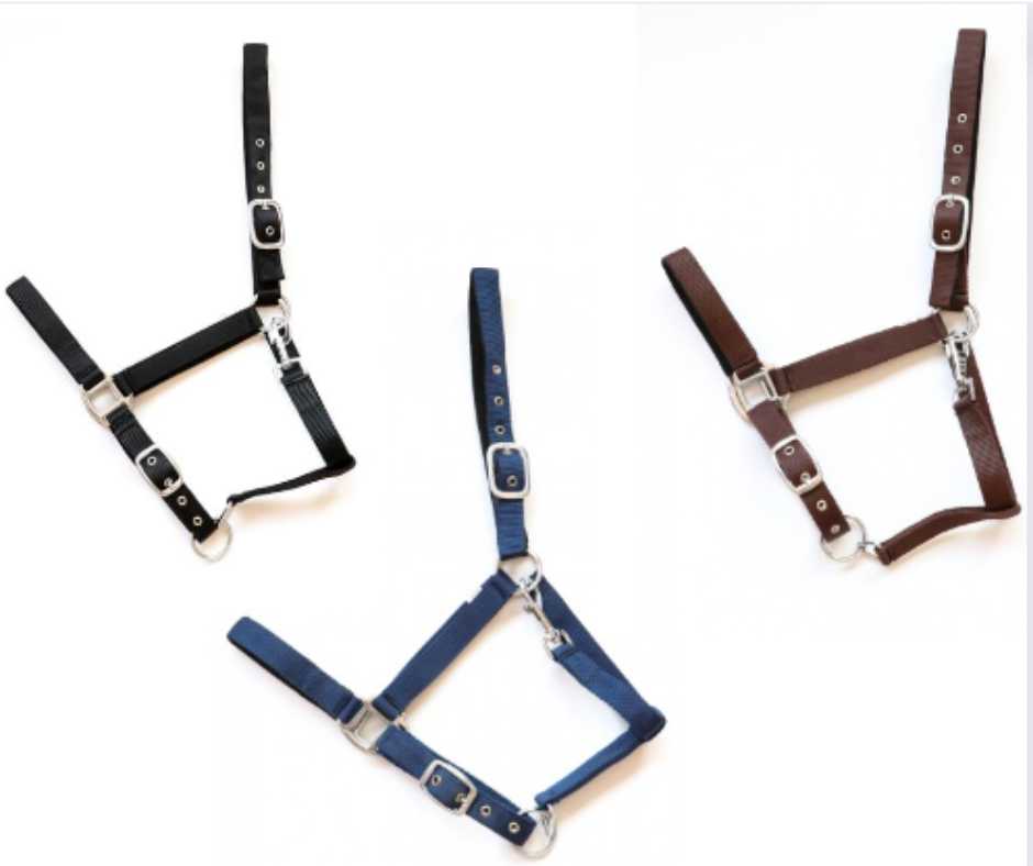 Pluto headcollar, halter