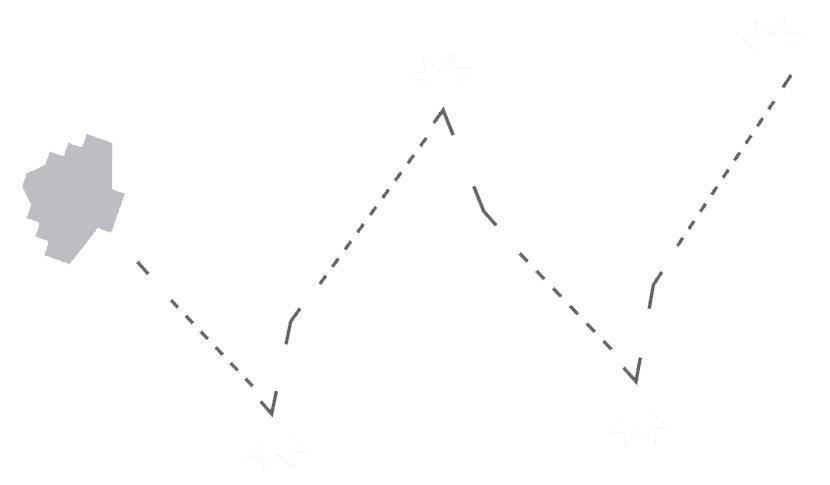 cauliflower shaped chew toy dog toy