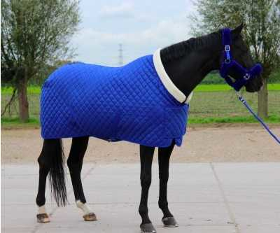 Showtime Desira horse rug
