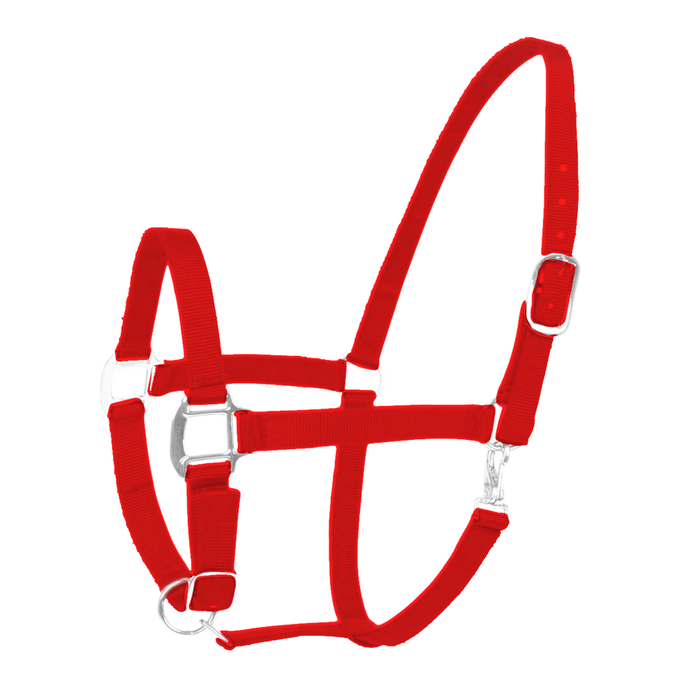 Dole Headcollar and halter