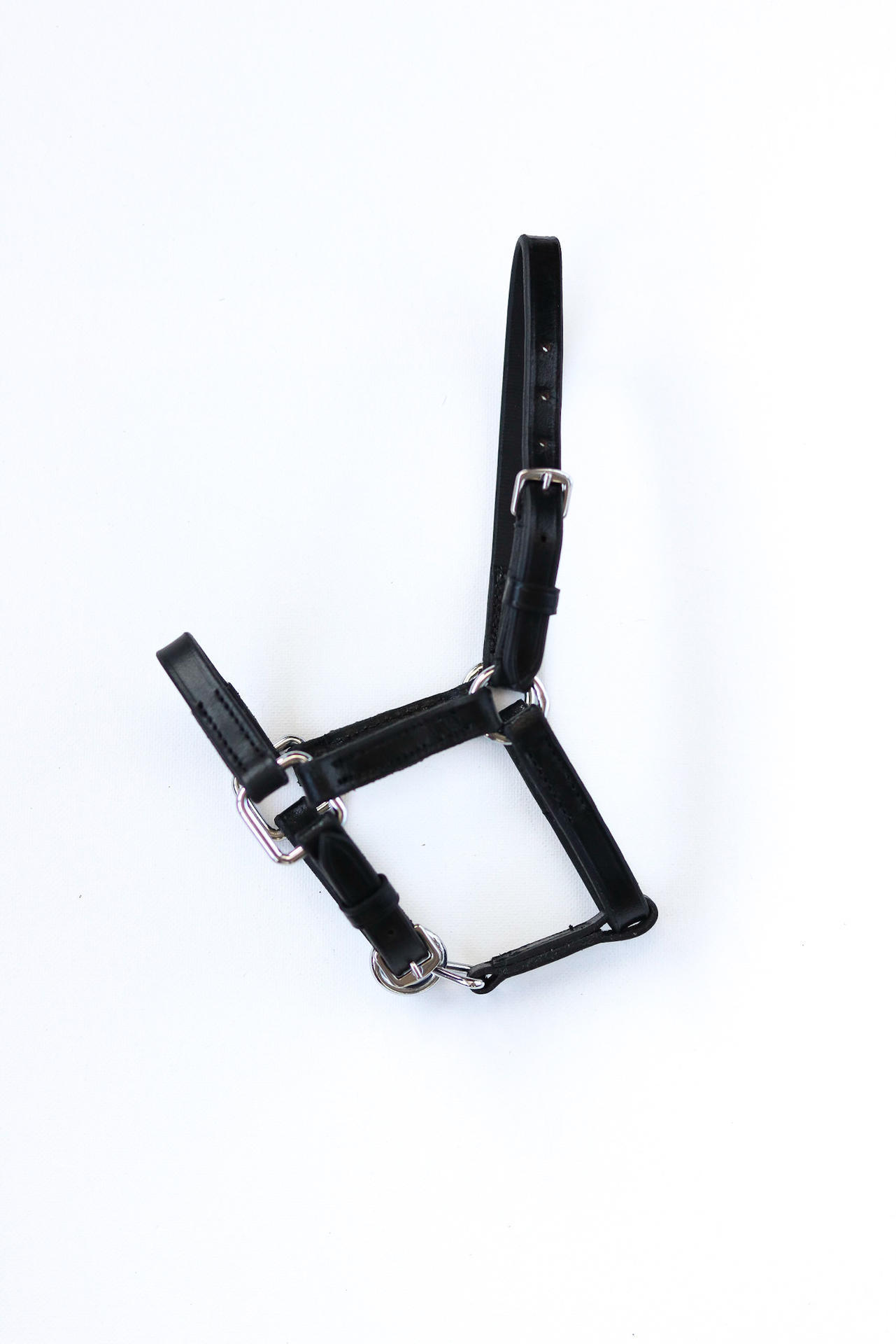 Melfi Showtime Headcollar, halter