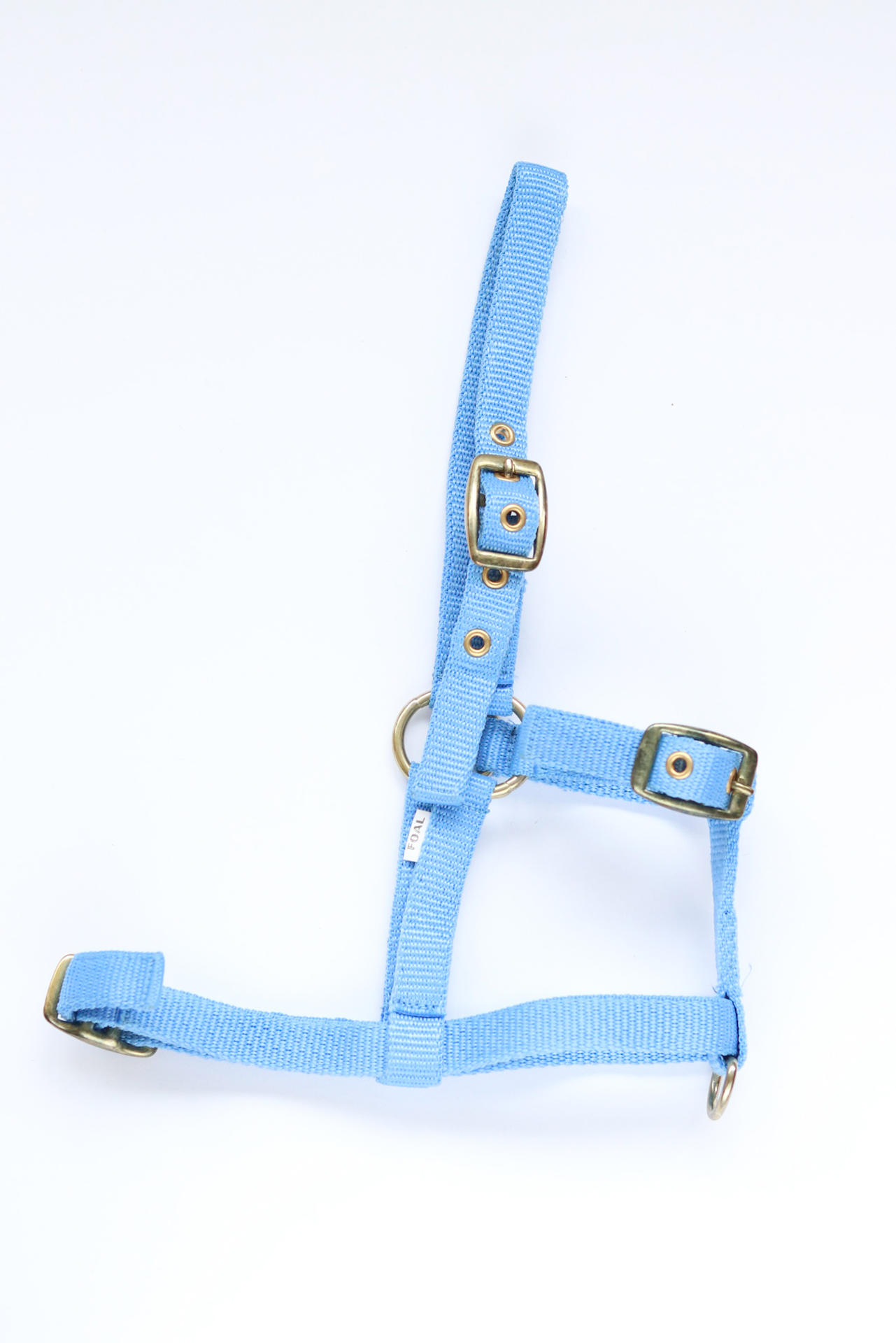 Amika headcollar