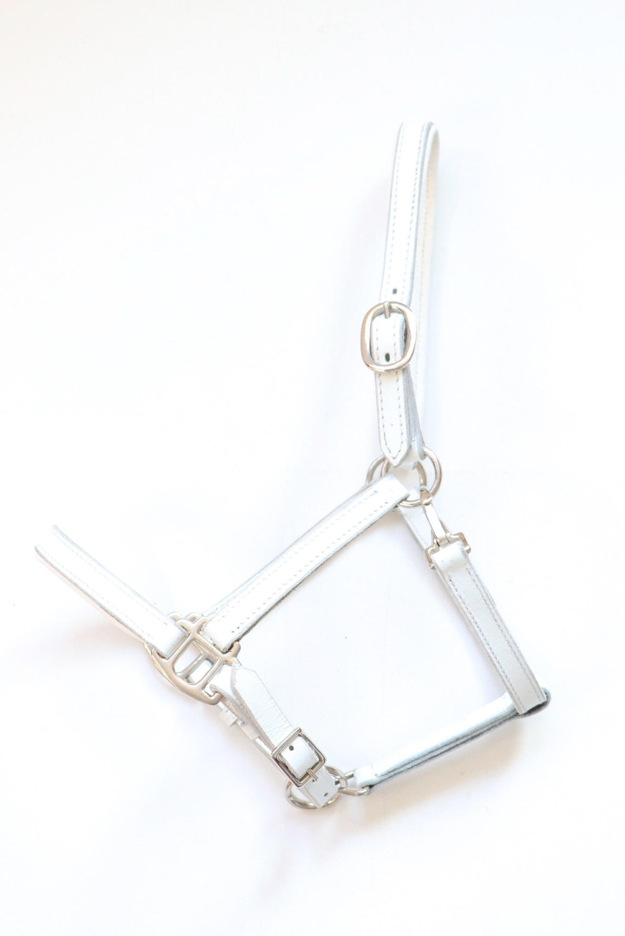 Siena lined foal headcollar, halter