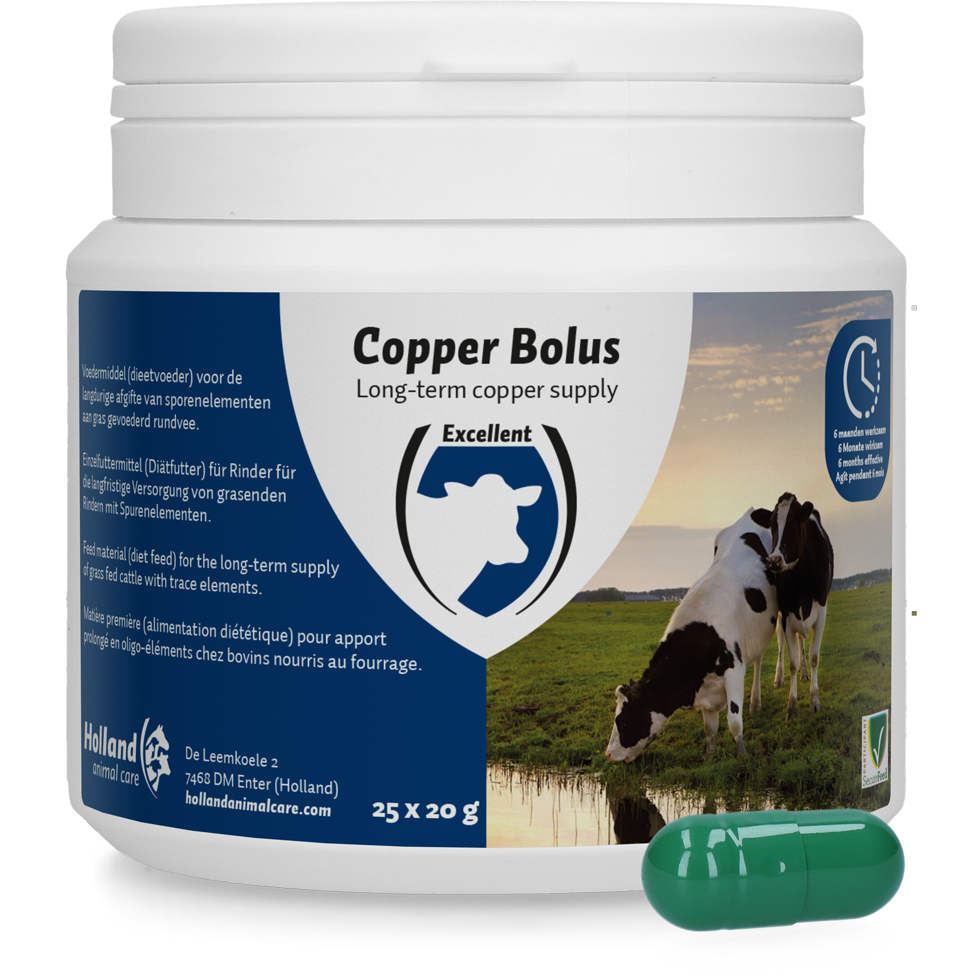 Copper bolus for cattle