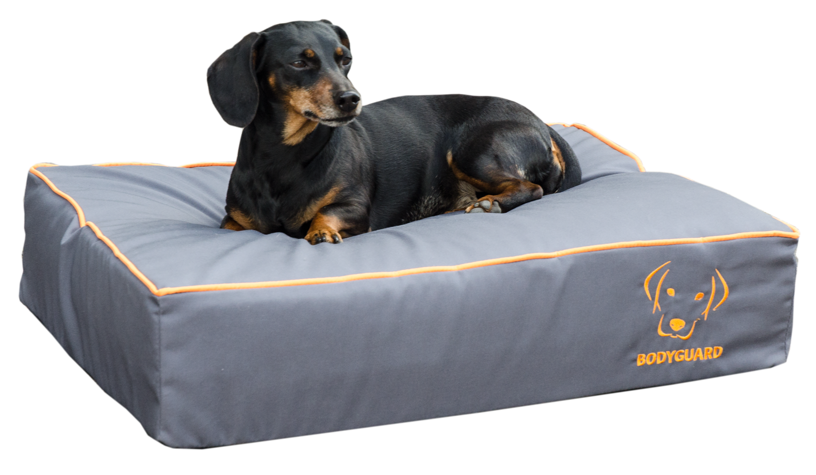 Royal dog bed S