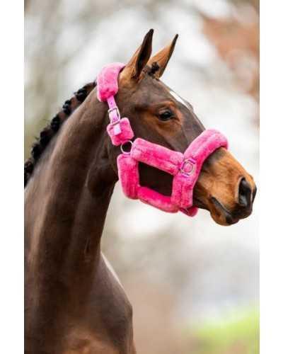Borgo Headcollar, halter
