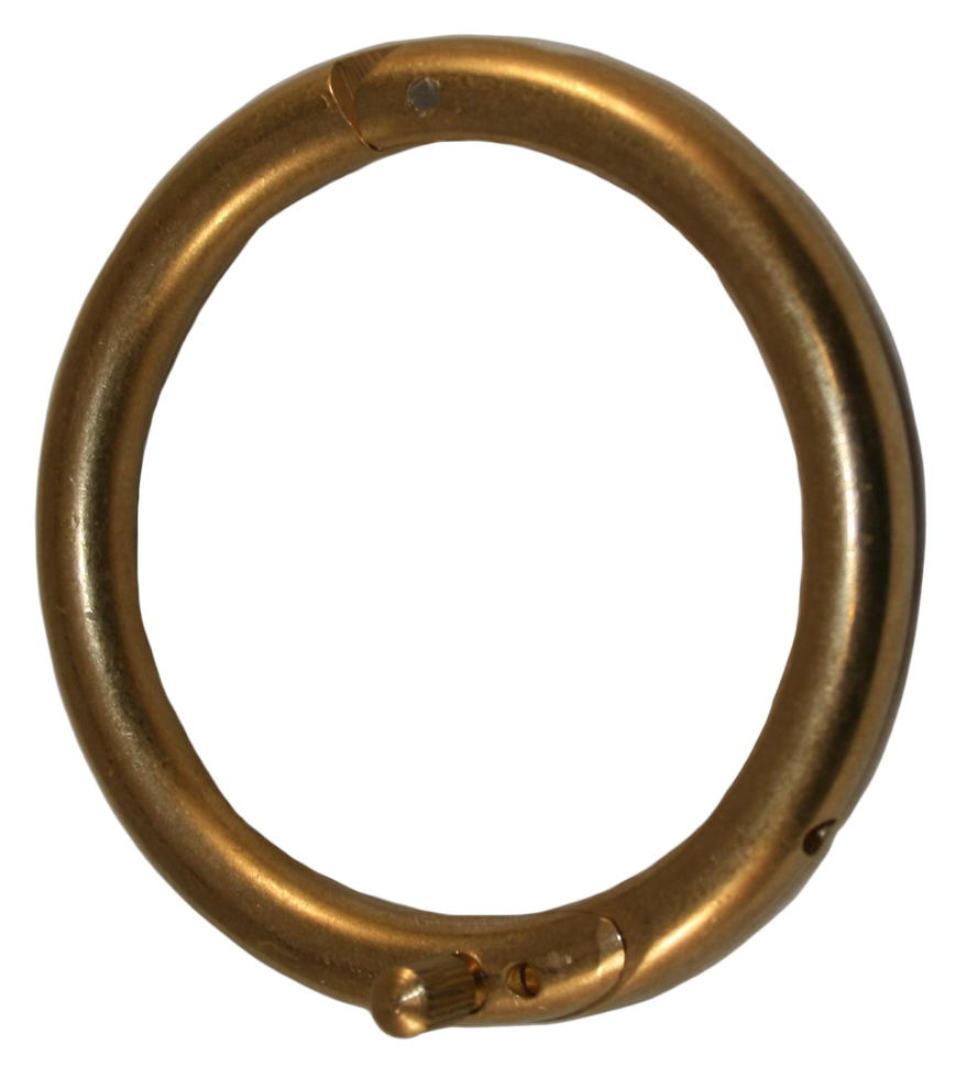 Bull ring brass 61 mm and screw cattle