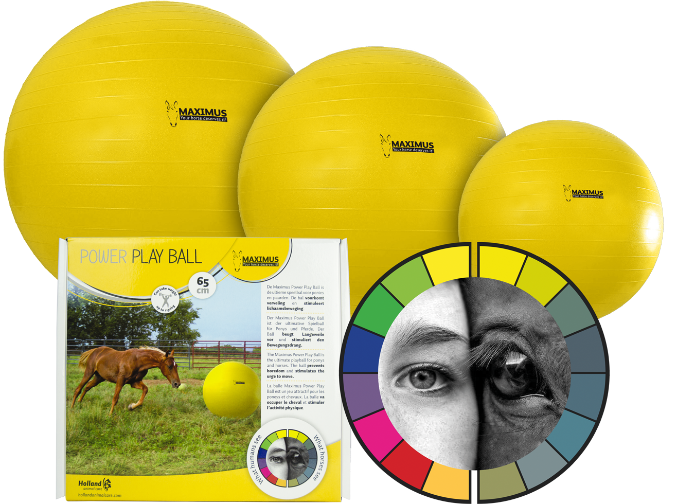 Power Play horse ball 65cm