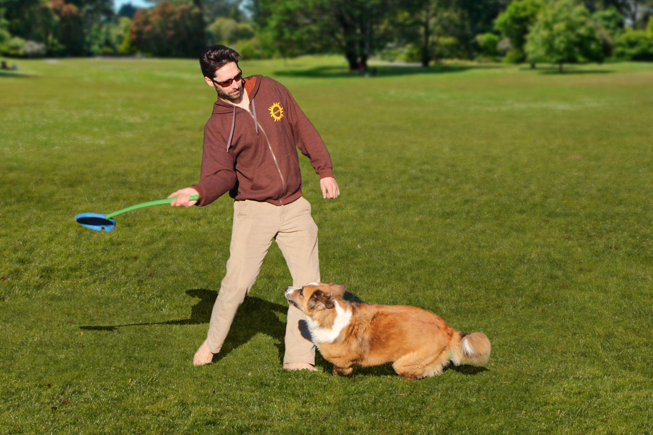Blue dog toy frisbee