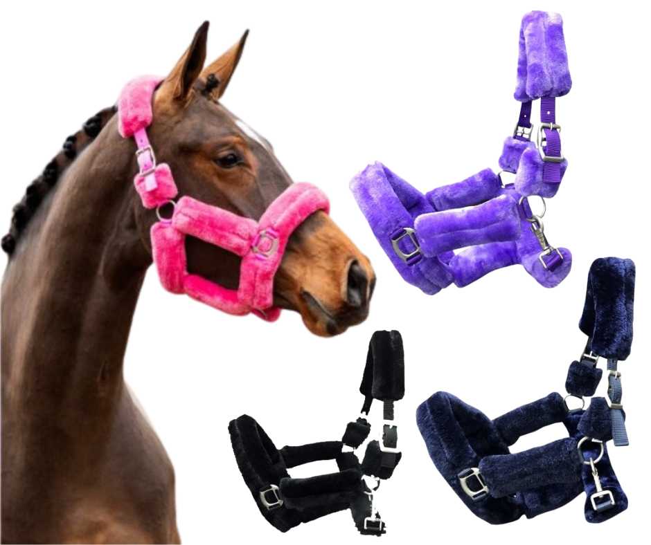 Borgo Headcollar, halter