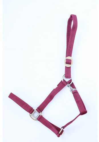 Apollo Nylon headcollar
