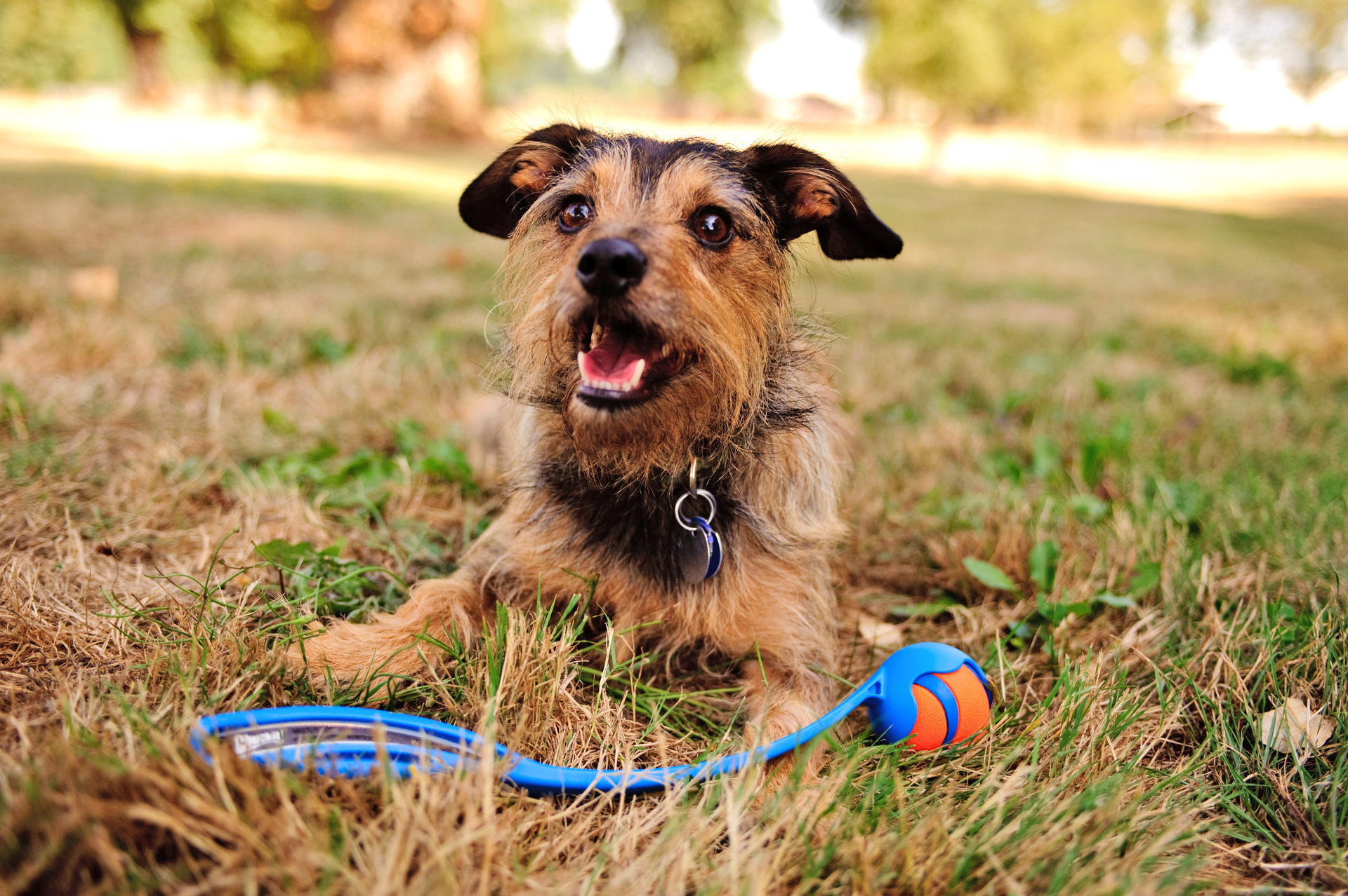 Rubber ball 5 cm 2 pieces